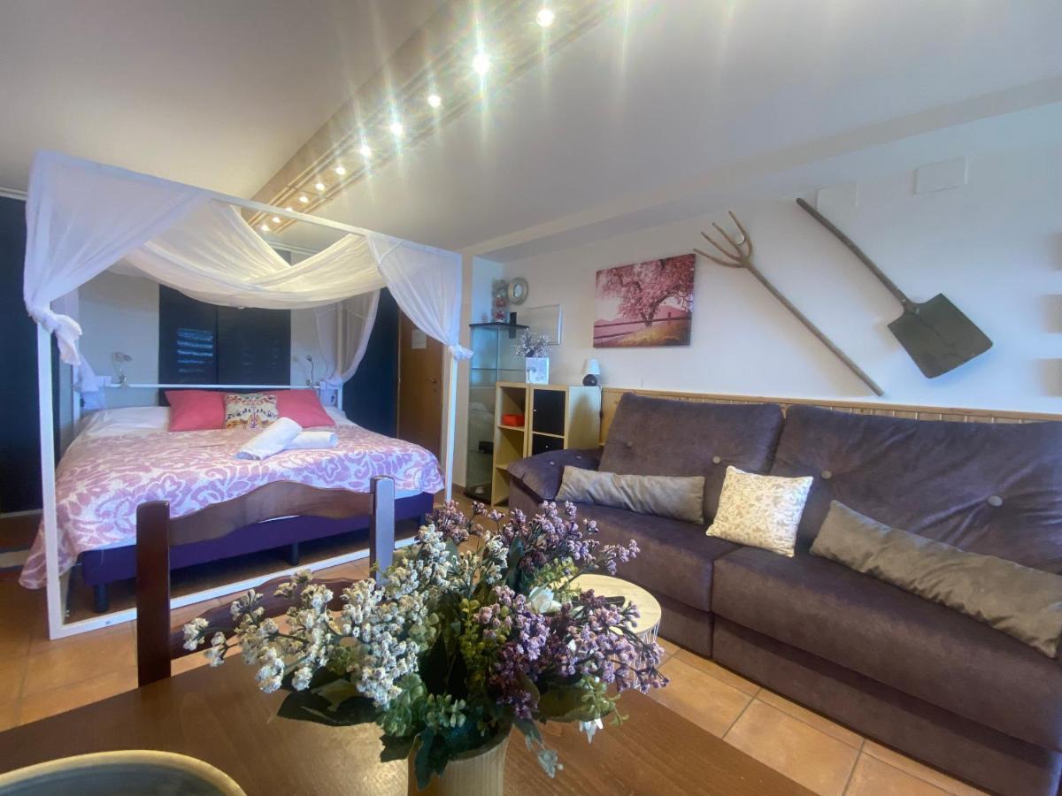 Agrovillaujue Apartamentos Rurales Екстериор снимка